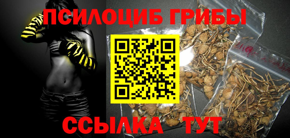 Псилоцибиновые грибы прущие грибы  Псилоцибиновые грибы MAGIC MUSHROOMS  Вход с VPN  Дедовск 